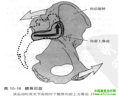 骨盆的体格检查