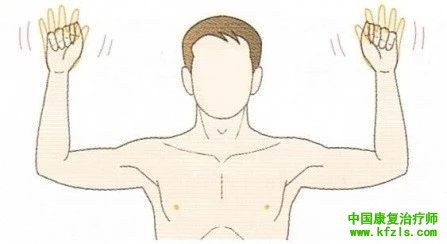 肩部的关节/肌肉/韧带/神经检查