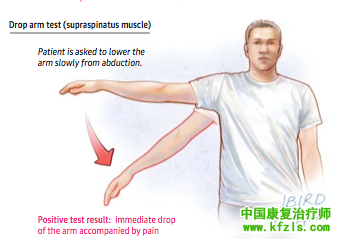 肩部的关节/肌肉/韧带/神经检查