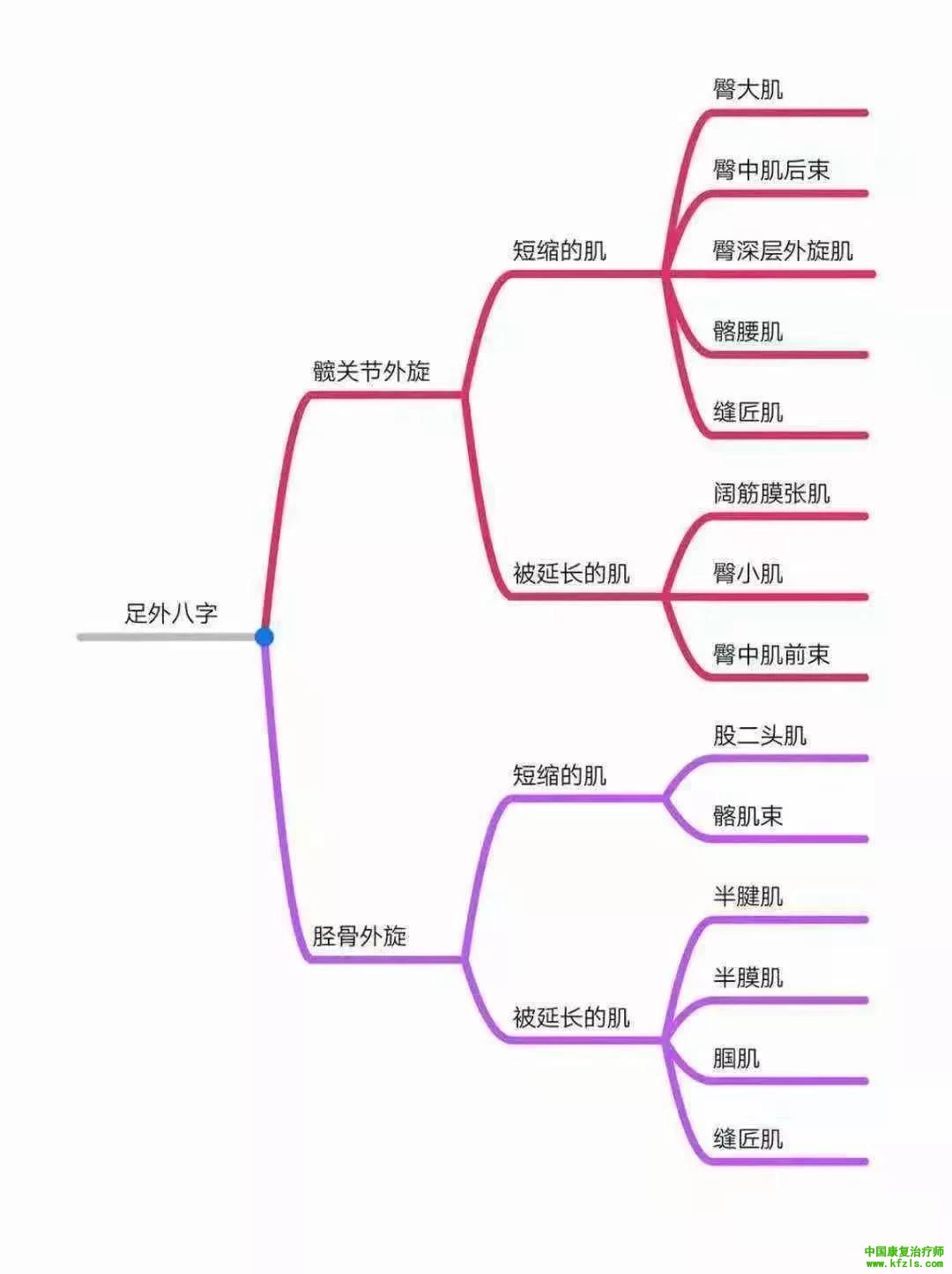 全身异常体态姿势解剖学分析（思维导图）