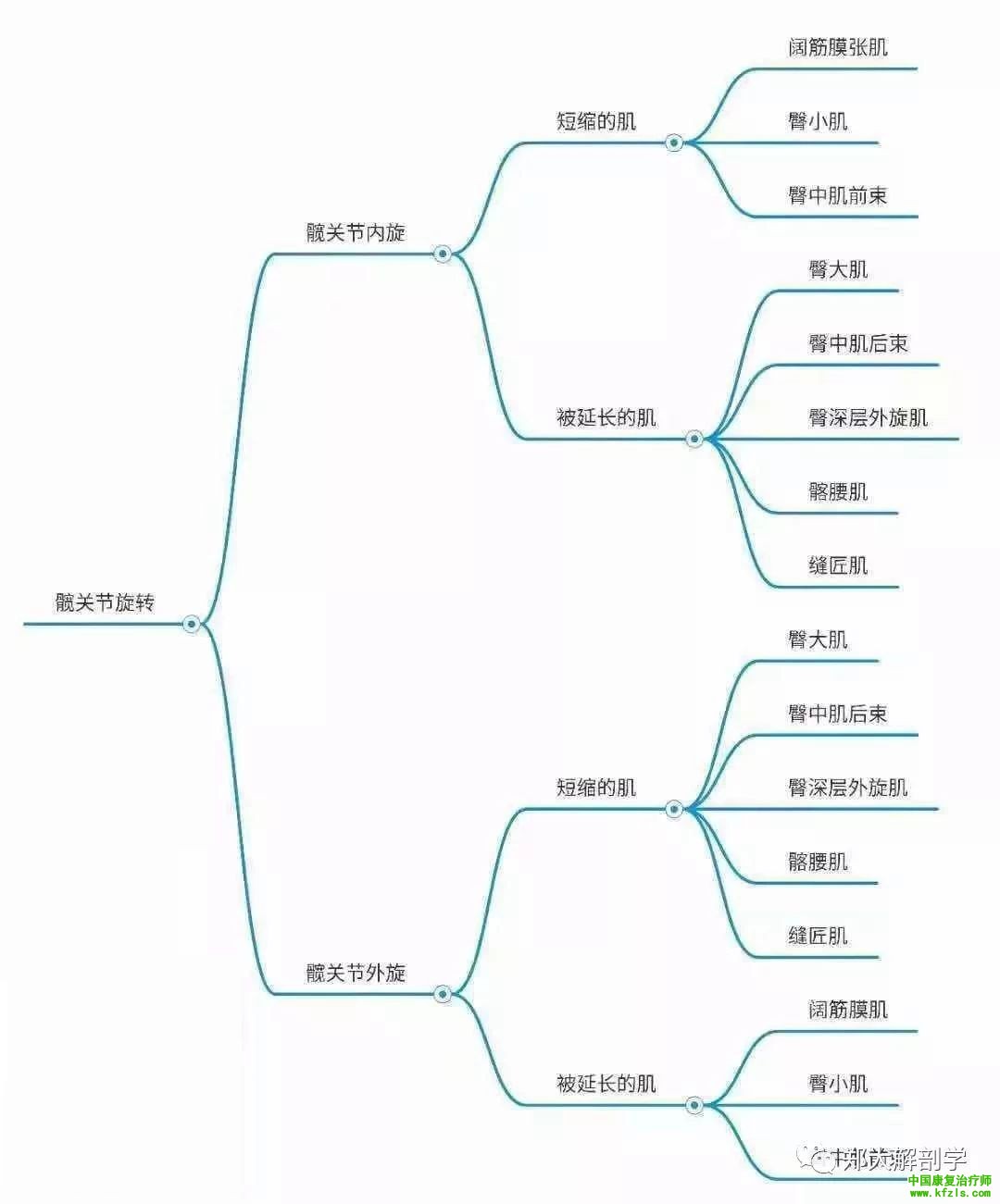 全身异常体态姿势解剖学分析（思维导图）