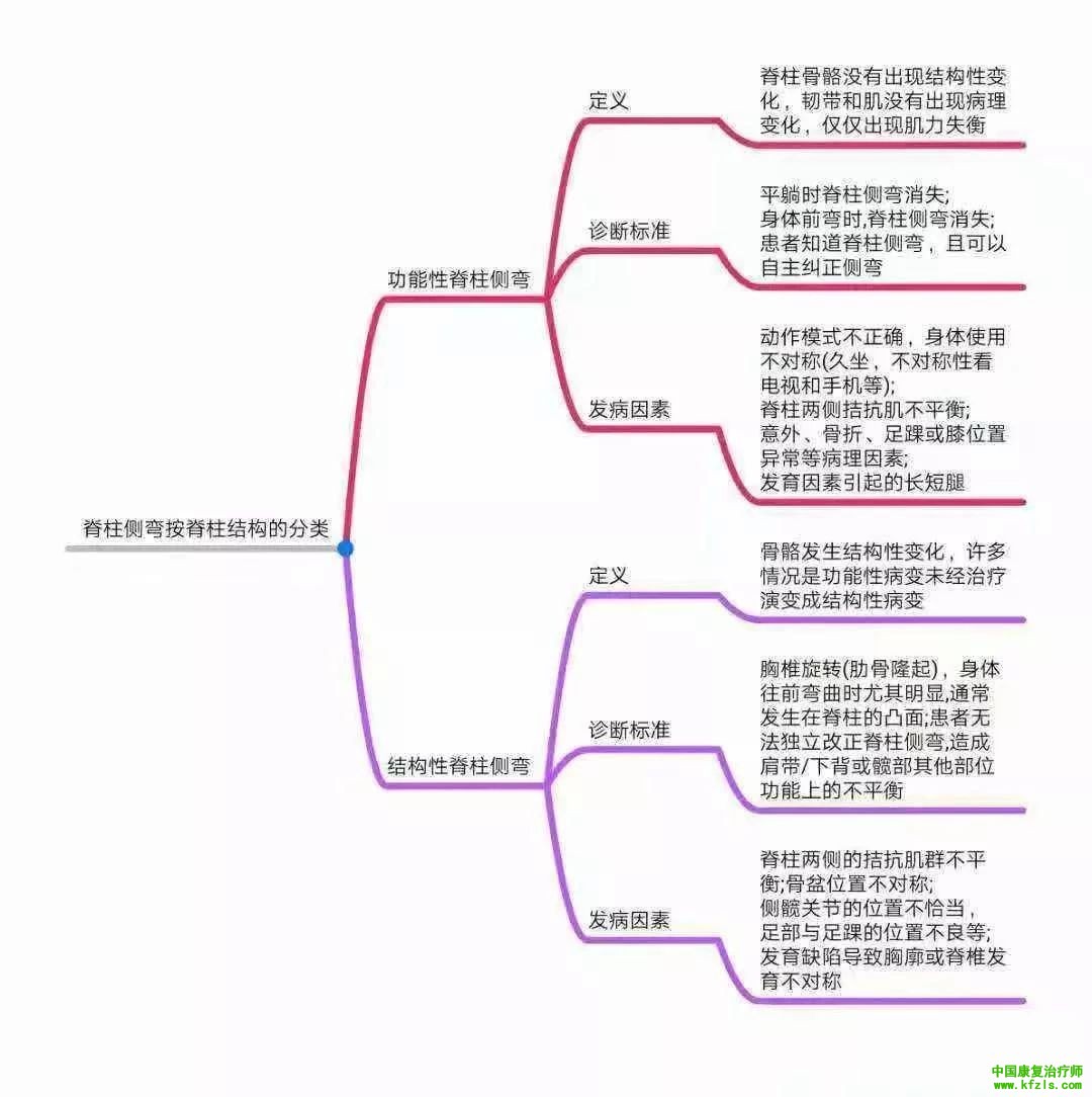 全身异常体态姿势解剖学分析（思维导图）