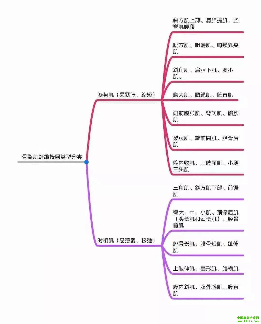 全身异常体态姿势解剖学分析（思维导图）