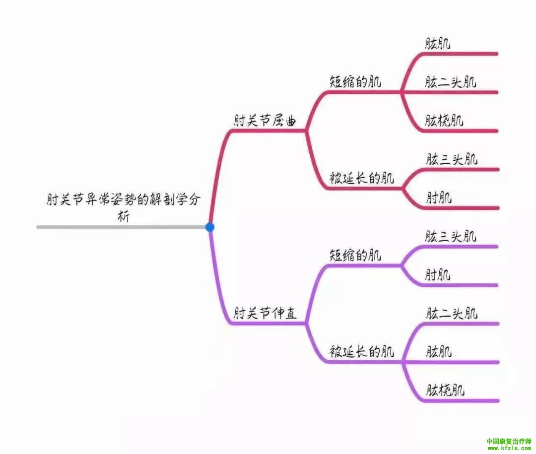 全身异常体态姿势解剖学分析（思维导图）