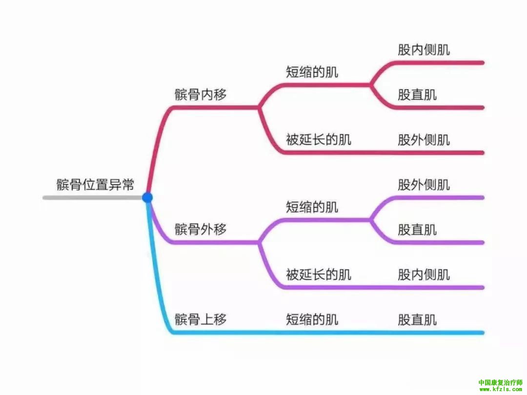 全身异常体态姿势解剖学分析（思维导图）