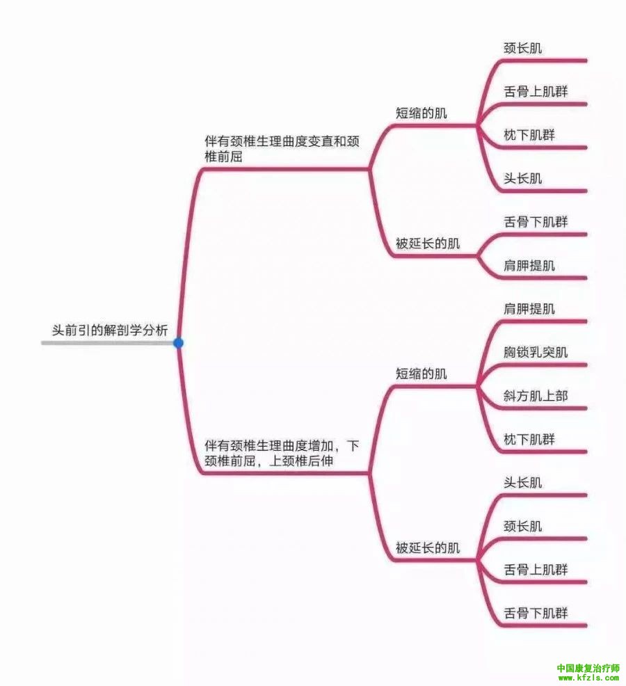 全身异常体态姿势解剖学分析（思维导图）