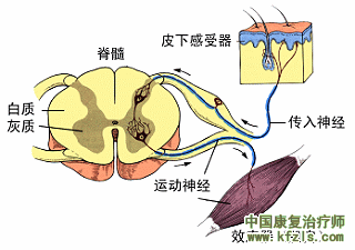 疼痛