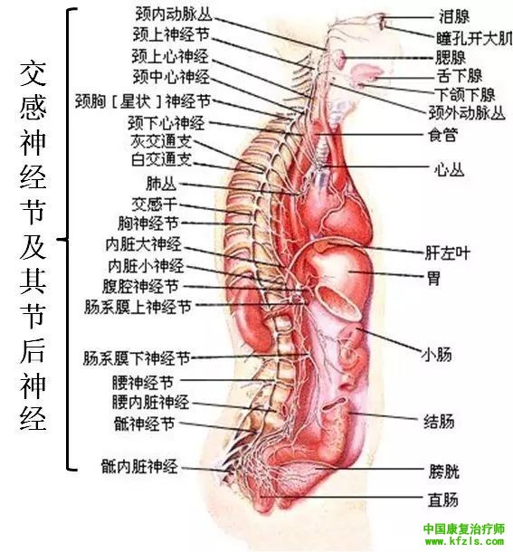 颈椎病