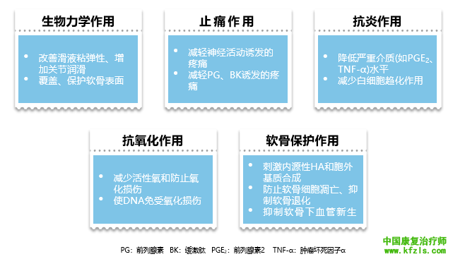 骨关节炎的治疗