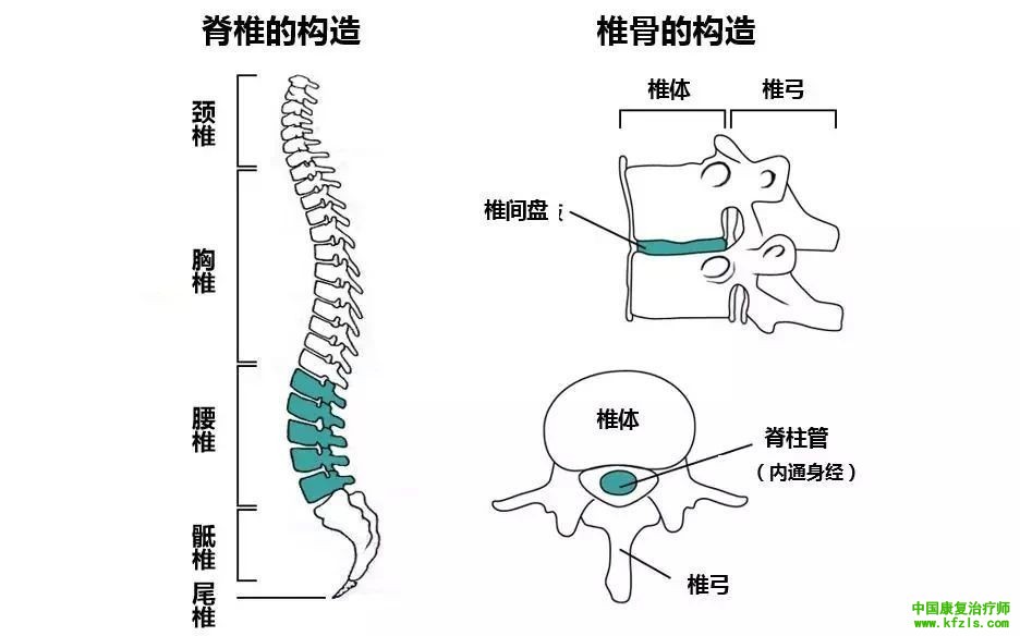 颈椎病的综合康复治疗