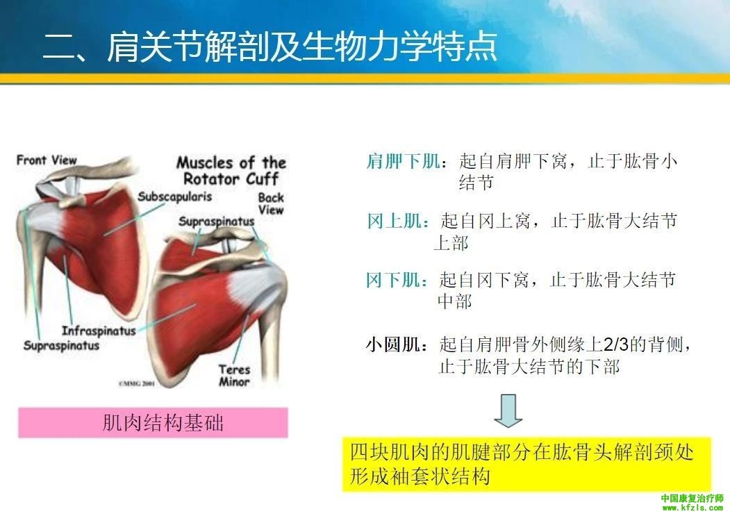 卒中肩痛的原因分析与康复治疗新技术