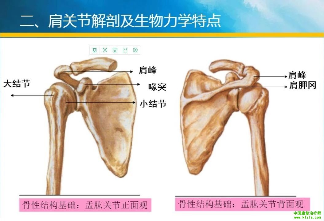 卒中肩痛的原因分析与康复治疗新技术