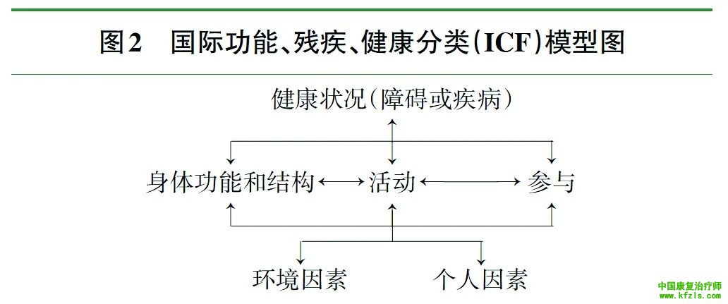 国际功能、残疾和健康分类（ICF）专家共识