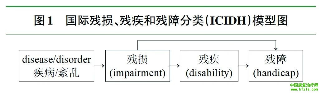 国际功能、残疾和健康分类（ICF）专家共识