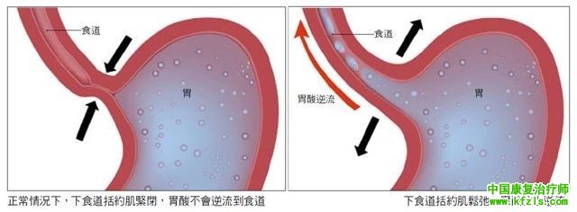 浅谈横膈膜功能