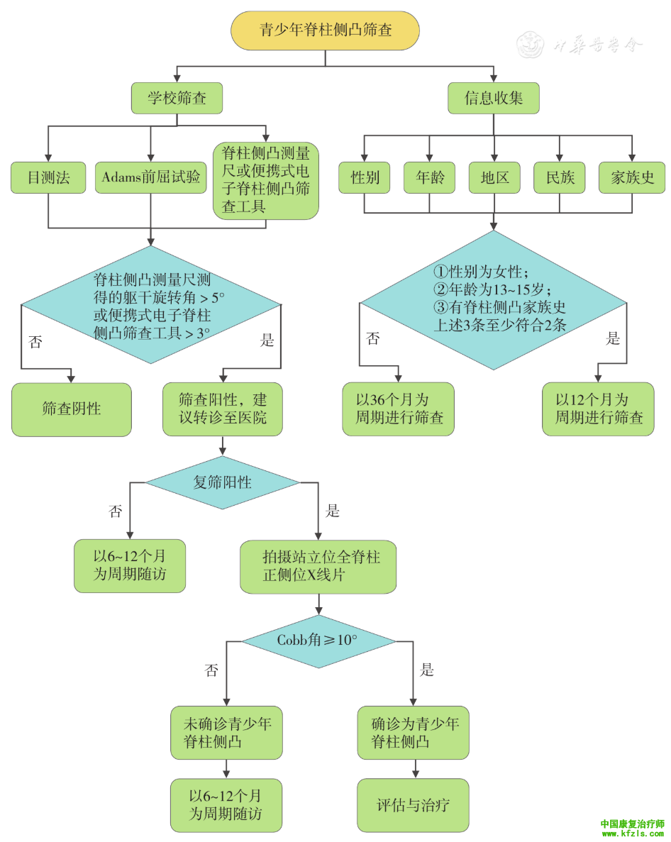 中国青少年脊柱侧凸筛查临床实践指南及路径指引