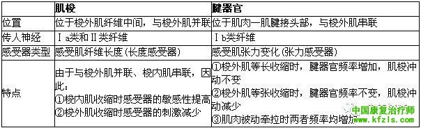 康复技术——肌肉能量技术