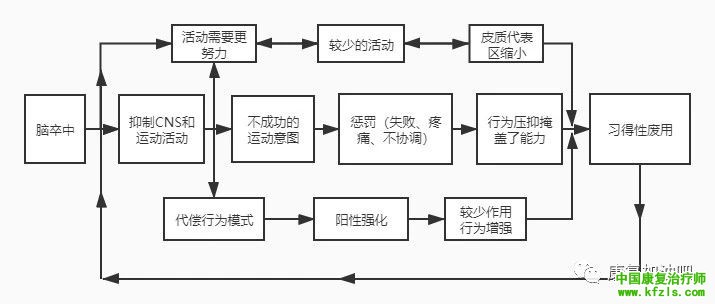 通过反复促通疗法（川平法，RFE）探讨偏瘫患者手指运动的恢复机制。