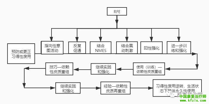 通过反复促通疗法（川平法，RFE）探讨偏瘫患者手指运动的恢复机制。