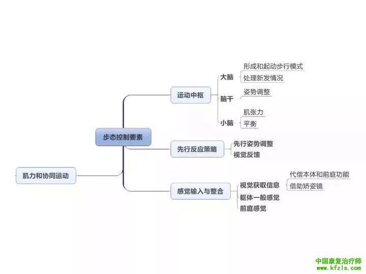 整个康复学基础知识一图贯穿