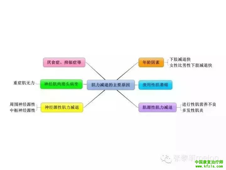 整个康复学基础知识一图贯穿