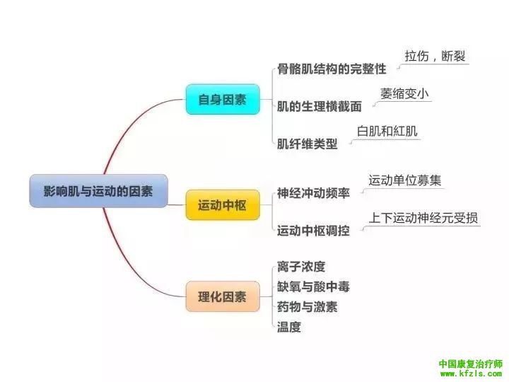 整个康复学基础知识一图贯穿