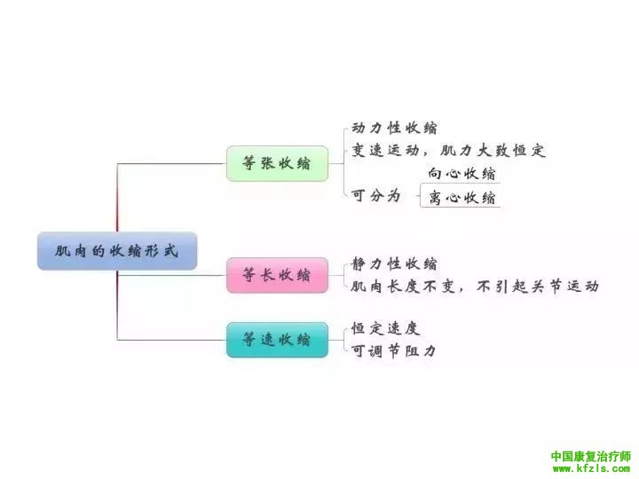 整个康复学基础知识一图贯穿