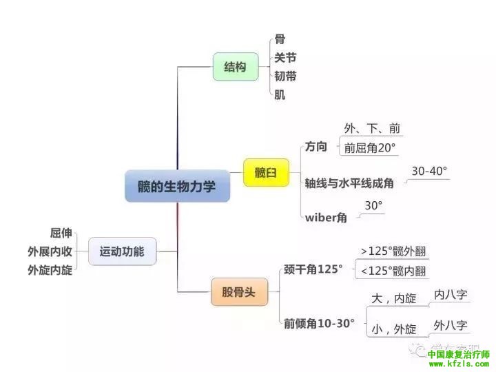 整个康复学基础知识一图贯穿