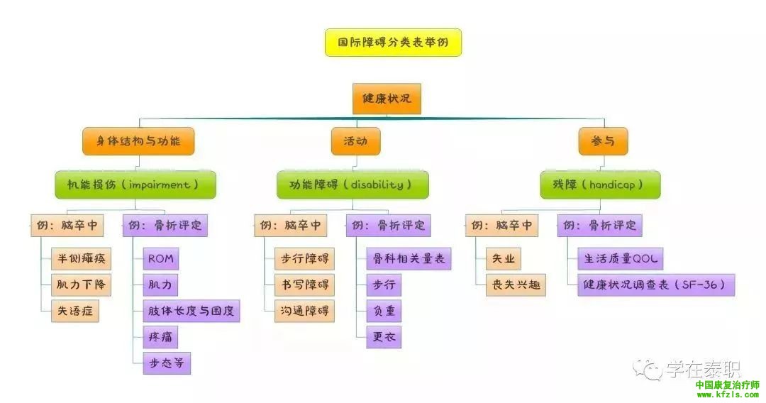 整个康复学基础知识一图贯穿