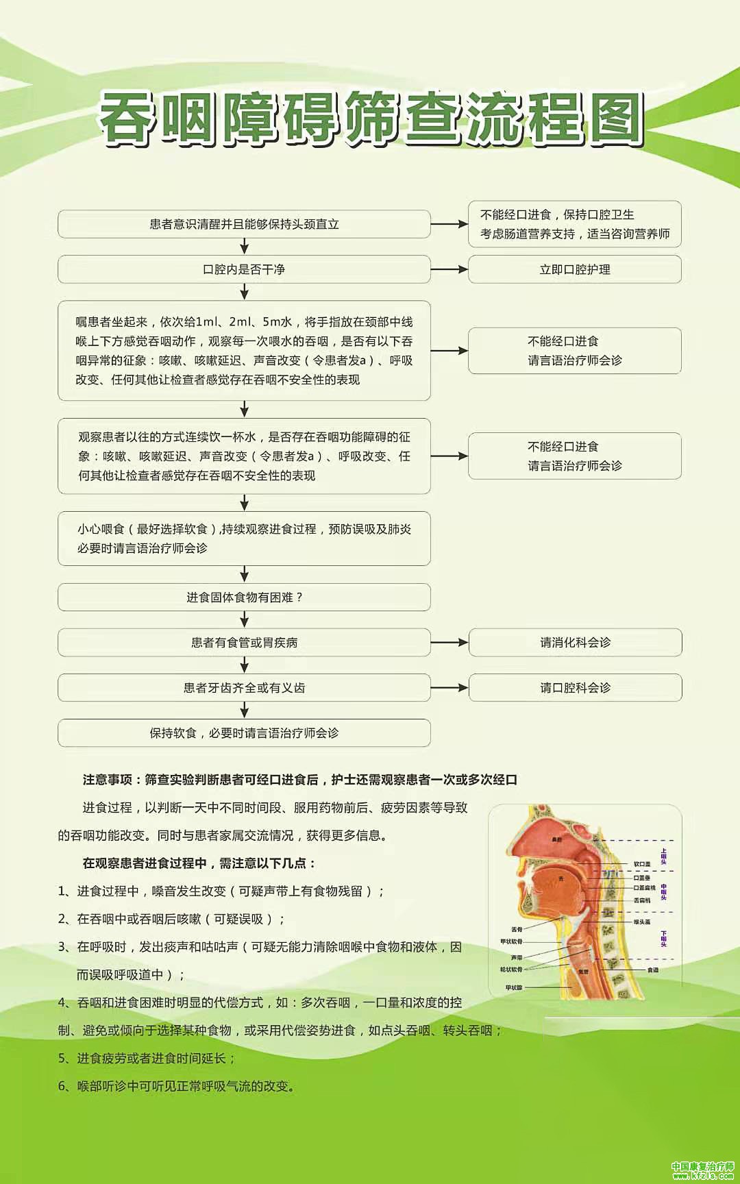 吞咽障碍筛查流程图（彩色高清）