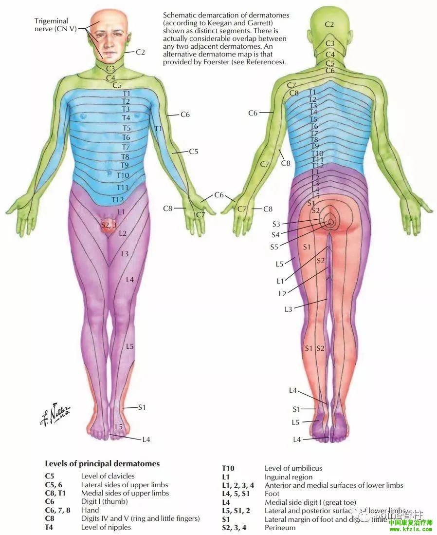 9463ffd7d0f99f6d89c1a3abce7c0c0f.jpg