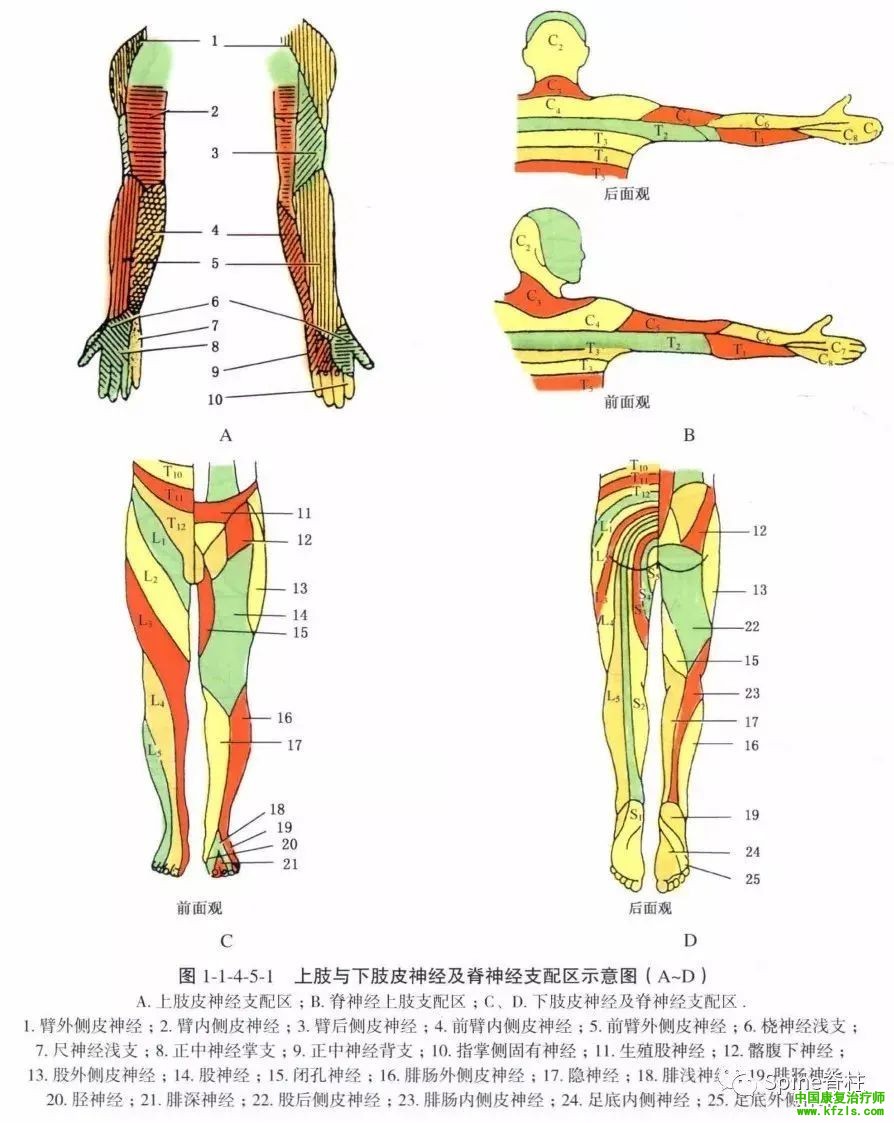 5468ad6e31855ddf316e330e39e7fa2e.jpg
