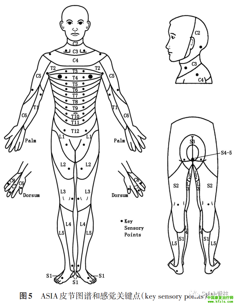 20919f18c38276c89e0fe131d8b5af19.png