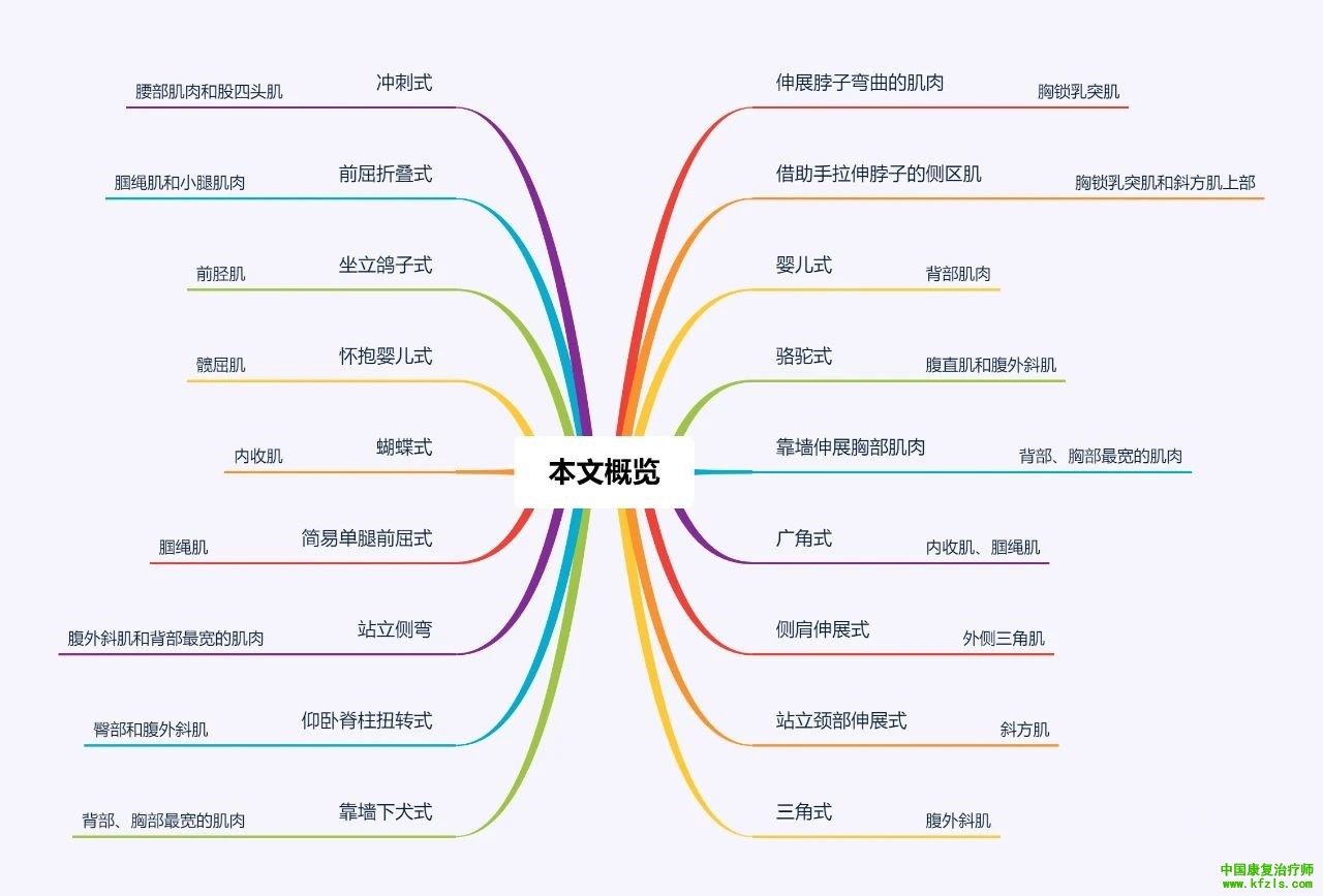 肌肉牵伸动作3D高清图解