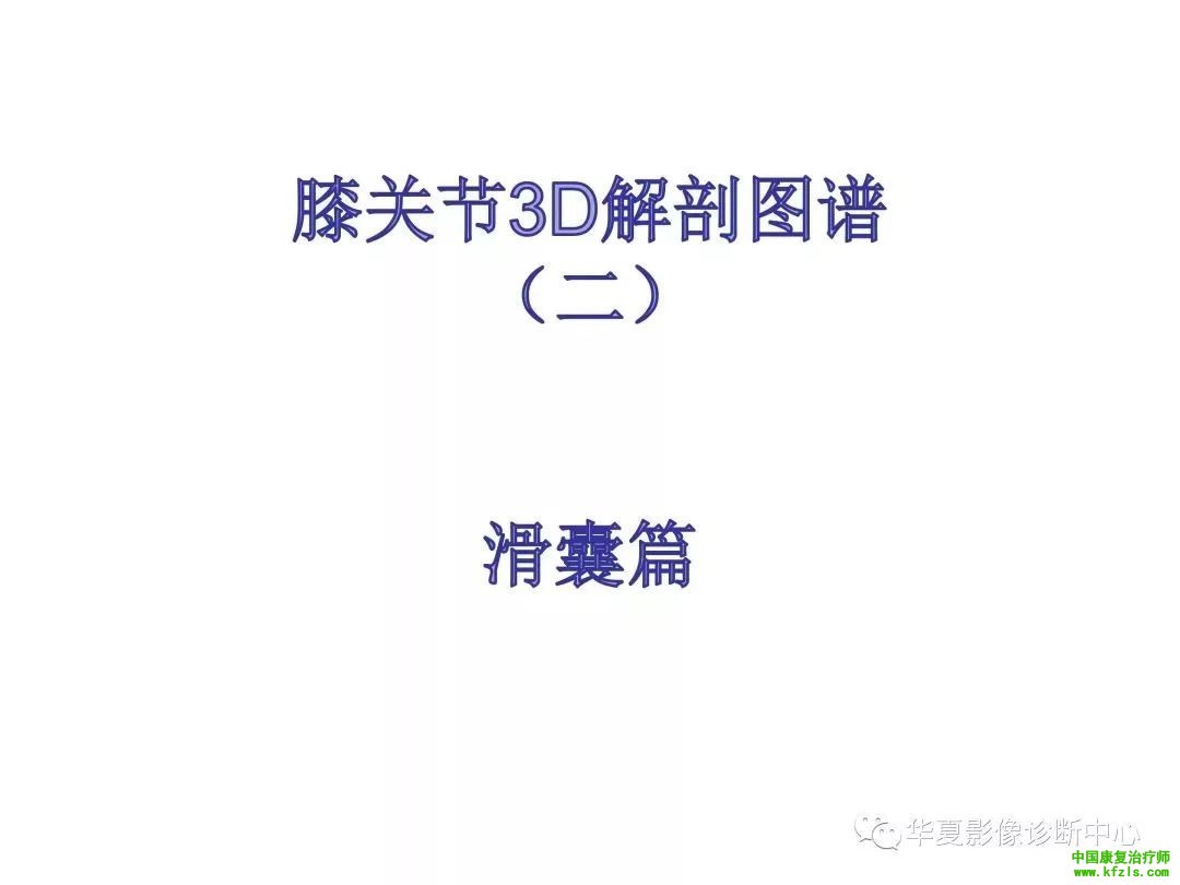 膝关节3D全彩解剖图谱