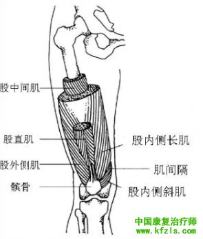 全面讲解Hoffa骨折