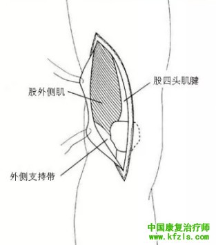 全面讲解Hoffa骨折