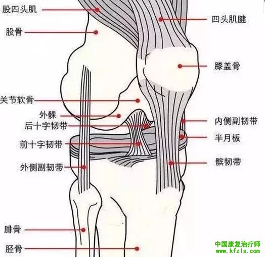 髌韧带断裂