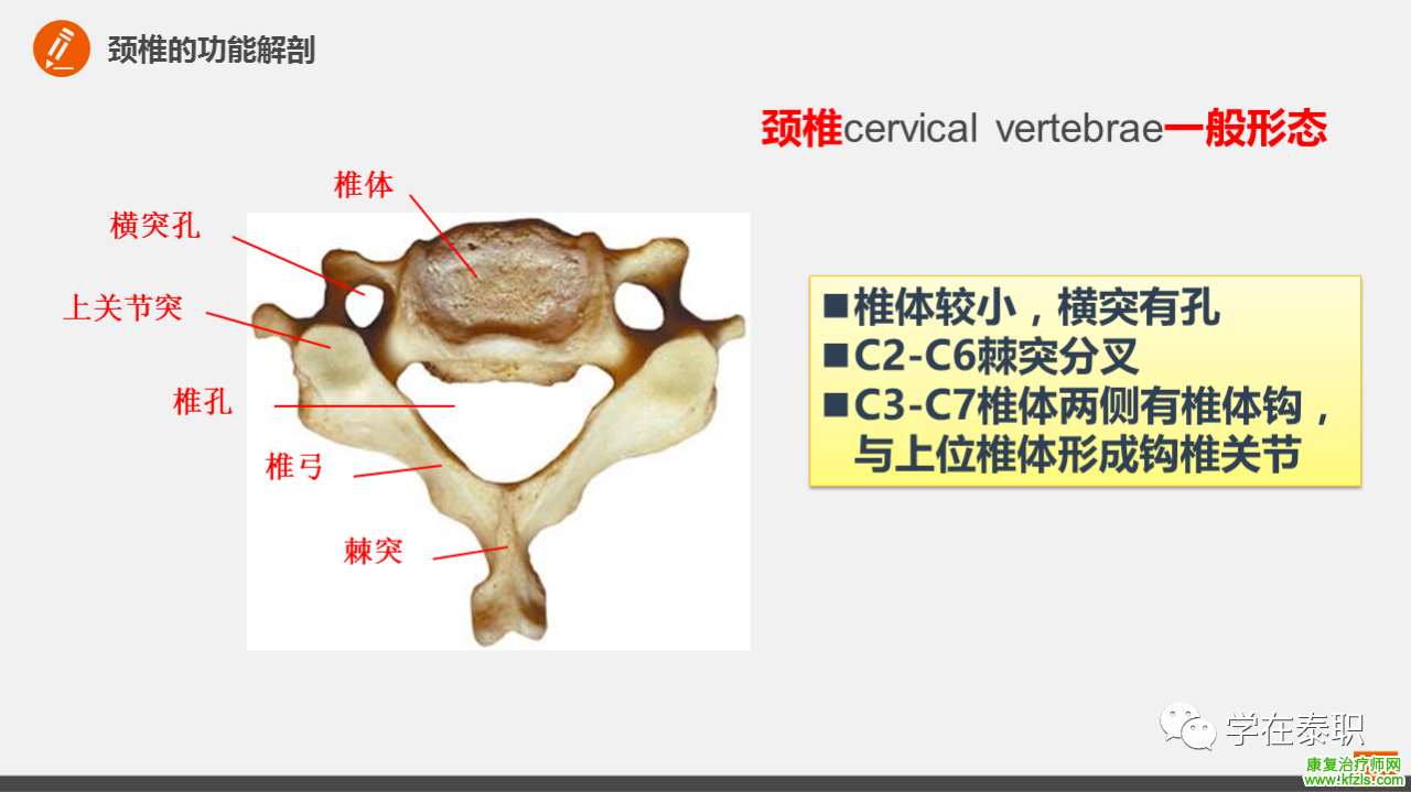 颈椎病的临床康复