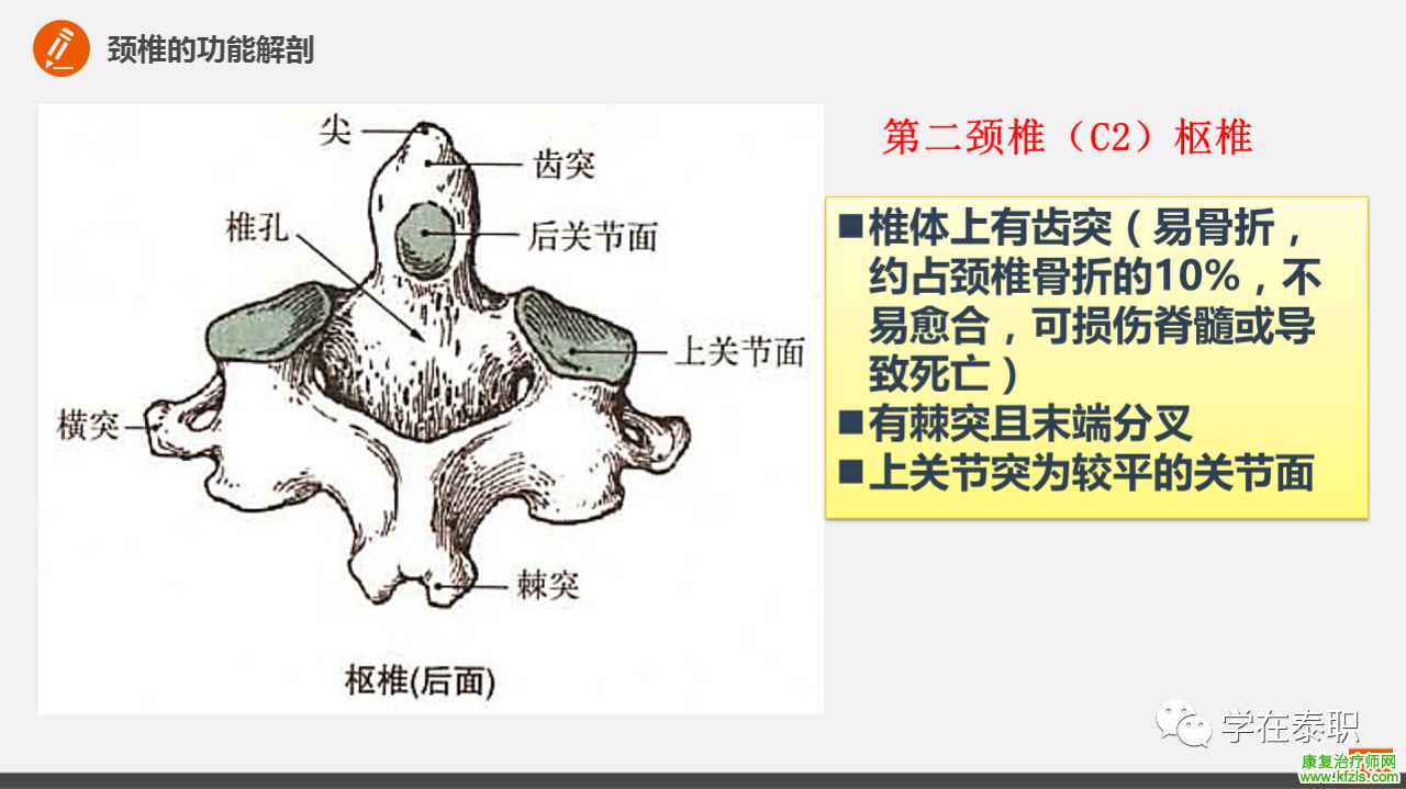 颈椎病的临床康复