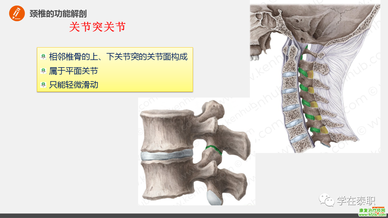 颈椎病的临床康复