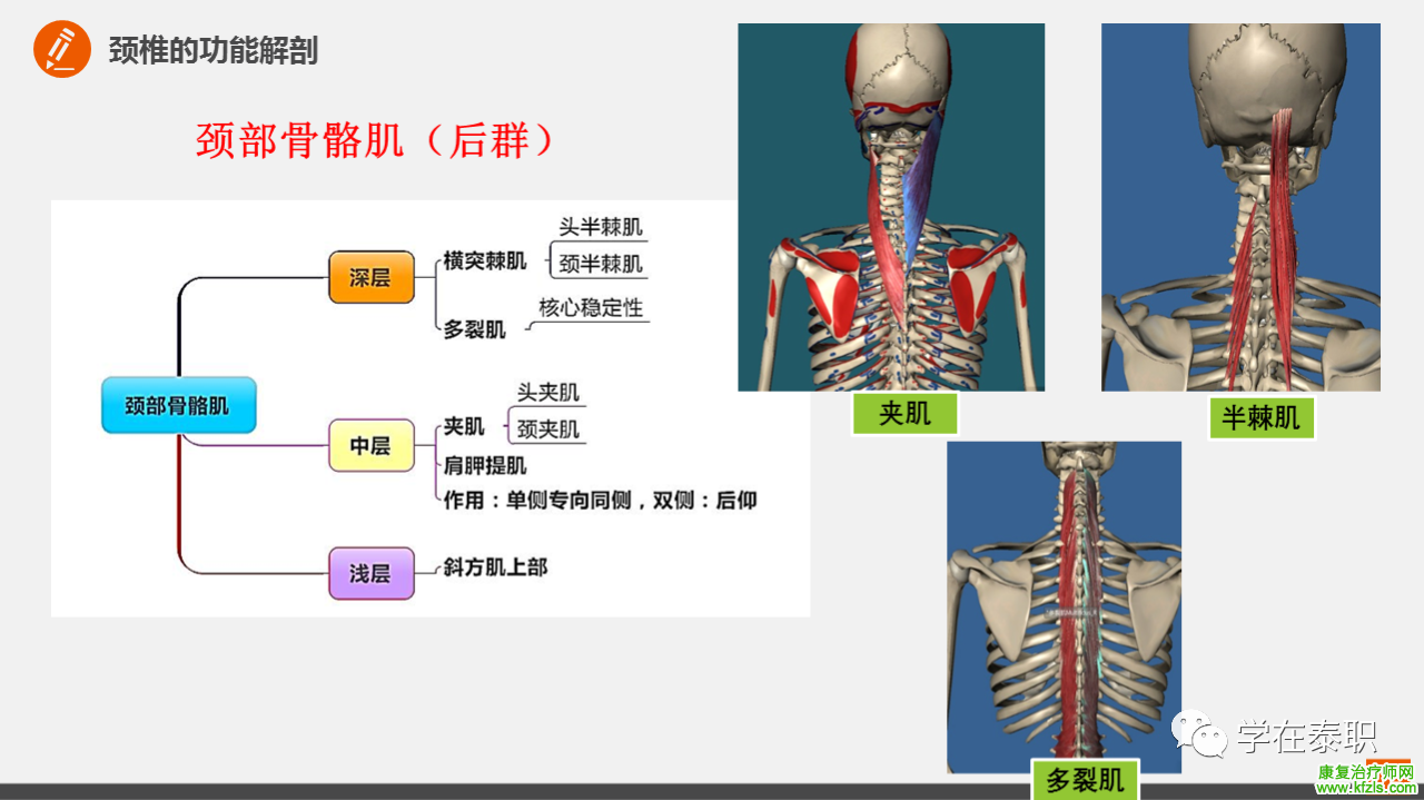 颈椎病的临床康复