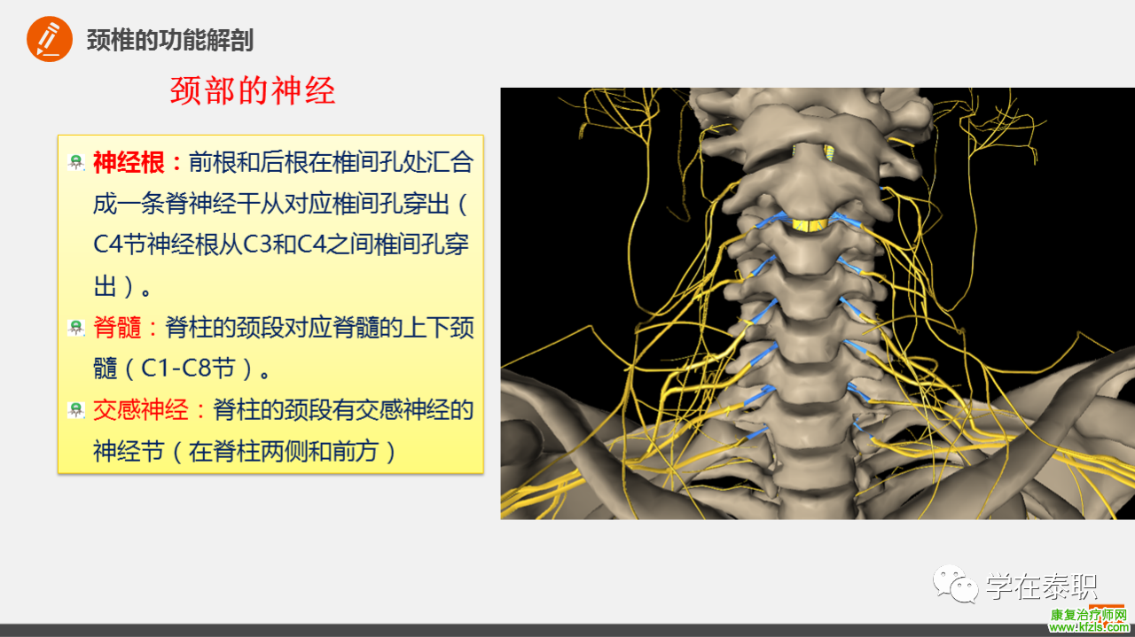 颈椎病的临床康复