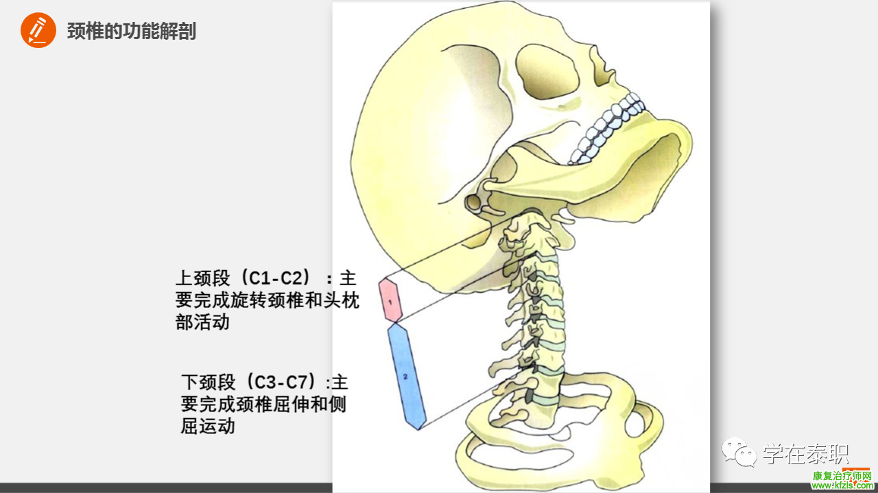 颈椎病的临床康复