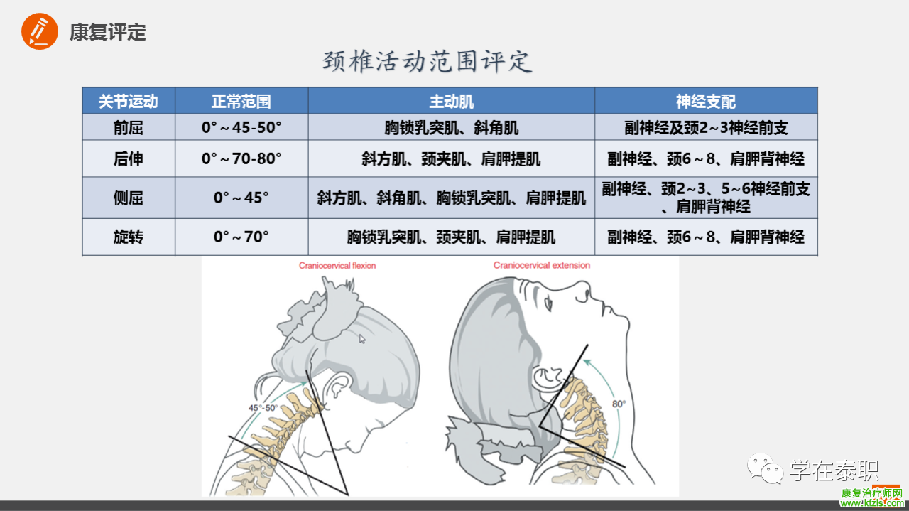 颈椎病的临床康复