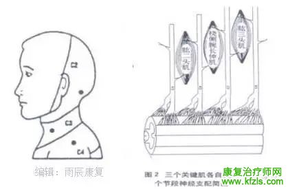 脊髓损伤康复