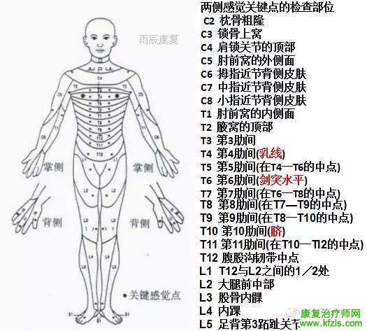 脊髓损伤康复