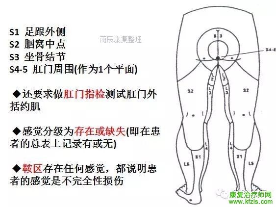 脊髓损伤康复