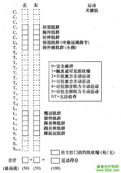 脊髓损伤康复