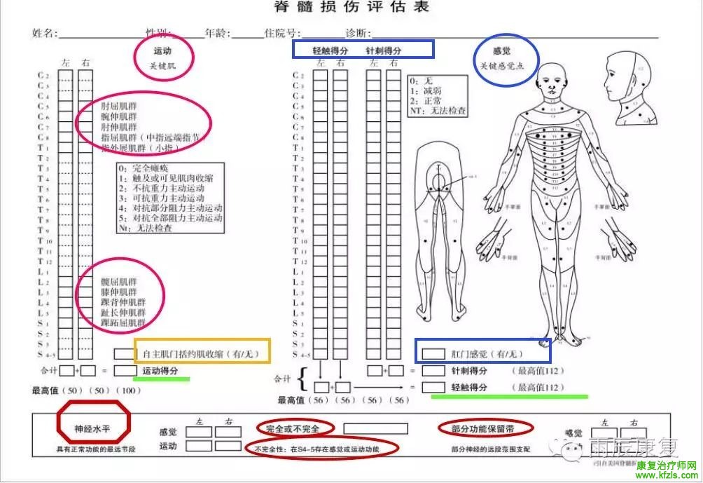 脊髓损伤康复